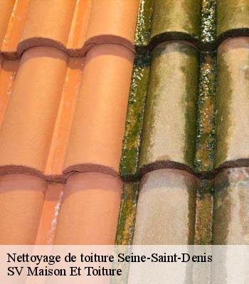 Nettoyage de toiture