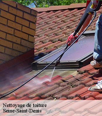 Nettoyage de toiture