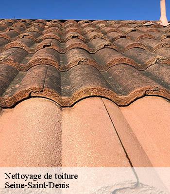 Nettoyage de toiture