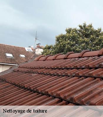 Nettoyage de toiture