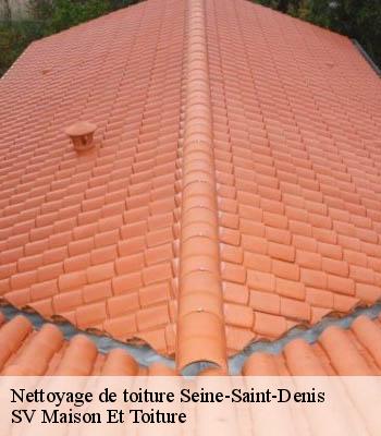 Nettoyage de toiture