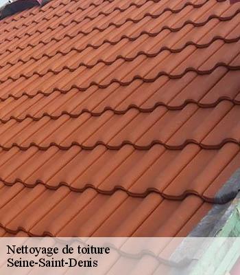 Nettoyage de toiture
