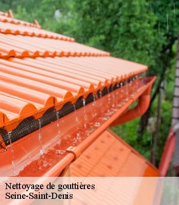 Nettoyage de gouttières