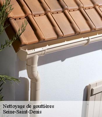 Nettoyage de gouttières