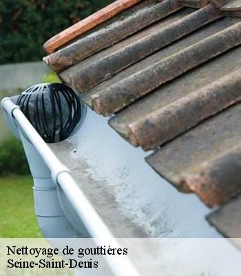 Nettoyage de gouttières
