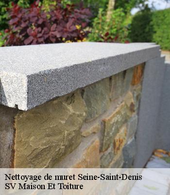 Nettoyage de muret