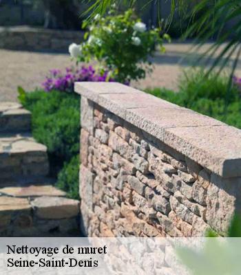 Nettoyage de muret
