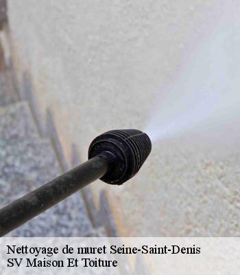 Nettoyage de muret