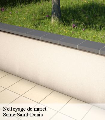 Nettoyage de muret