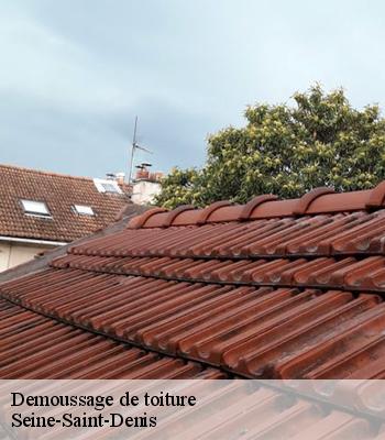 Demoussage de toiture