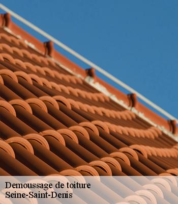 Demoussage de toiture