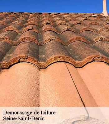 Demoussage de toiture