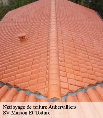 Nettoyage de toiture