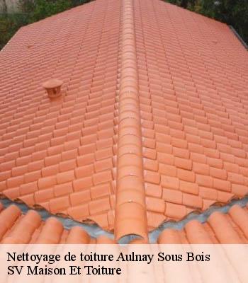 Nettoyage de toiture