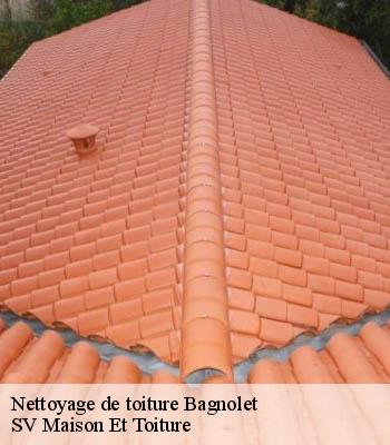 Nettoyage de toiture