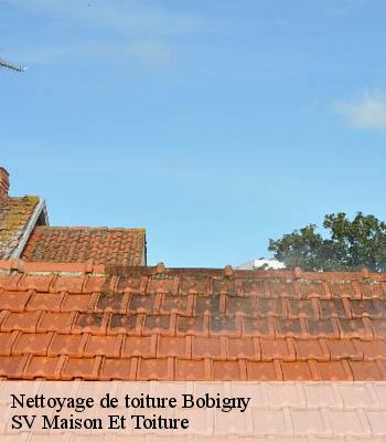 Nettoyage de toiture
