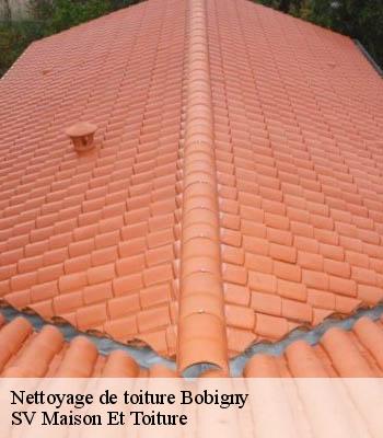 Nettoyage de toiture