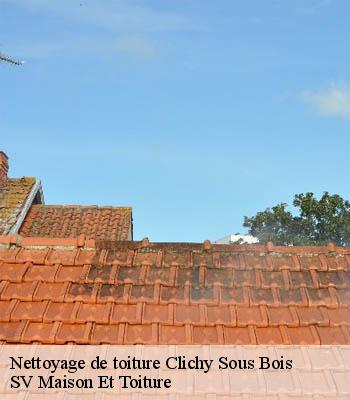 Nettoyage de toiture