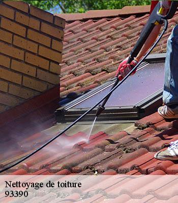 Nettoyage de toiture