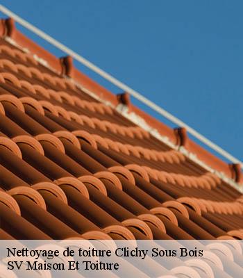 Nettoyage de toiture