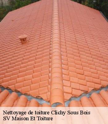 Nettoyage de toiture