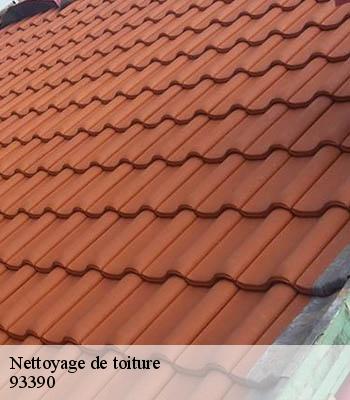 Nettoyage de toiture
