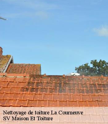 Nettoyage de toiture