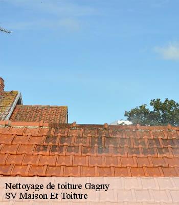 Nettoyage de toiture