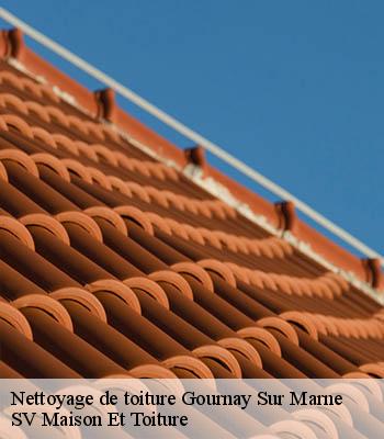 Nettoyage de toiture