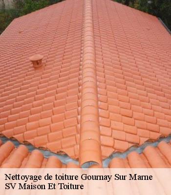 Nettoyage de toiture