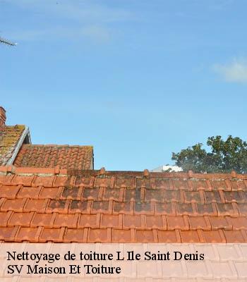 Nettoyage de toiture