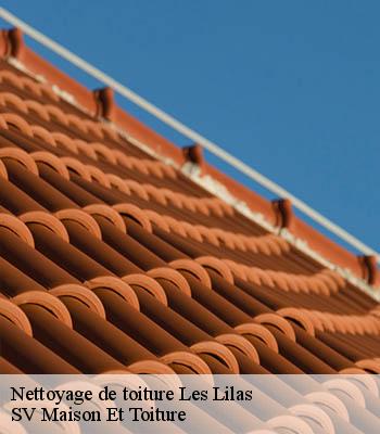 Nettoyage de toiture