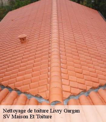 Nettoyage de toiture