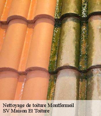 Nettoyage de toiture
