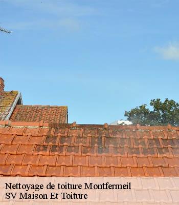 Nettoyage de toiture