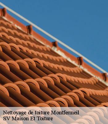 Nettoyage de toiture