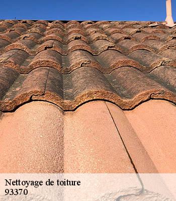 Nettoyage de toiture