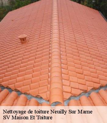 Nettoyage de toiture