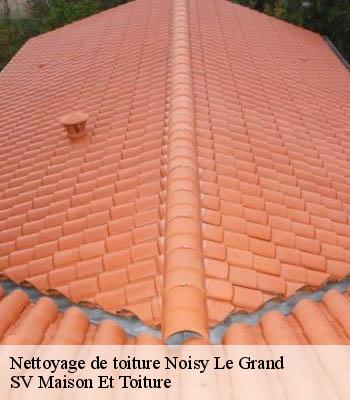 Nettoyage de toiture