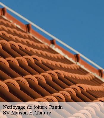 Nettoyage de toiture