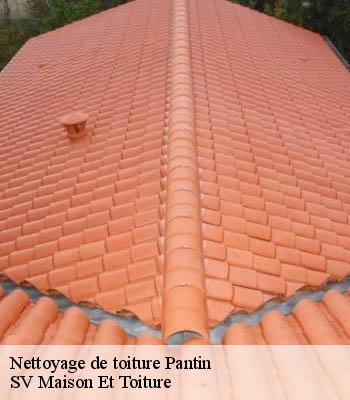 Nettoyage de toiture