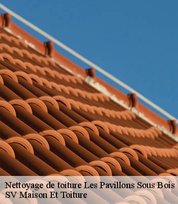 Nettoyage de toiture