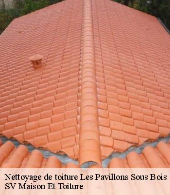 Nettoyage de toiture