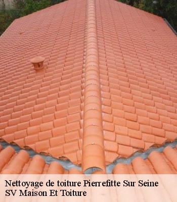 Nettoyage de toiture