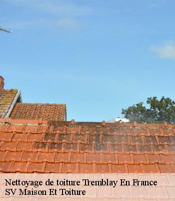 Nettoyage de toiture
