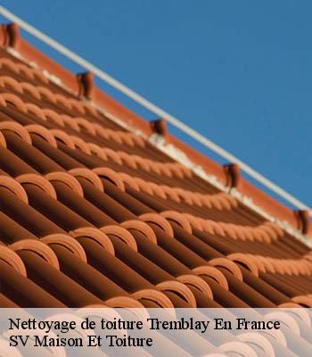 Nettoyage de toiture