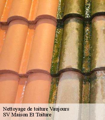 Nettoyage de toiture