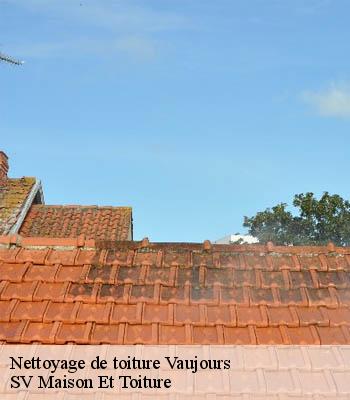Nettoyage de toiture