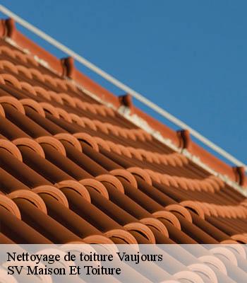 Nettoyage de toiture