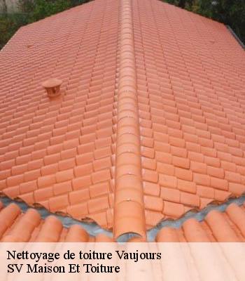 Nettoyage de toiture
